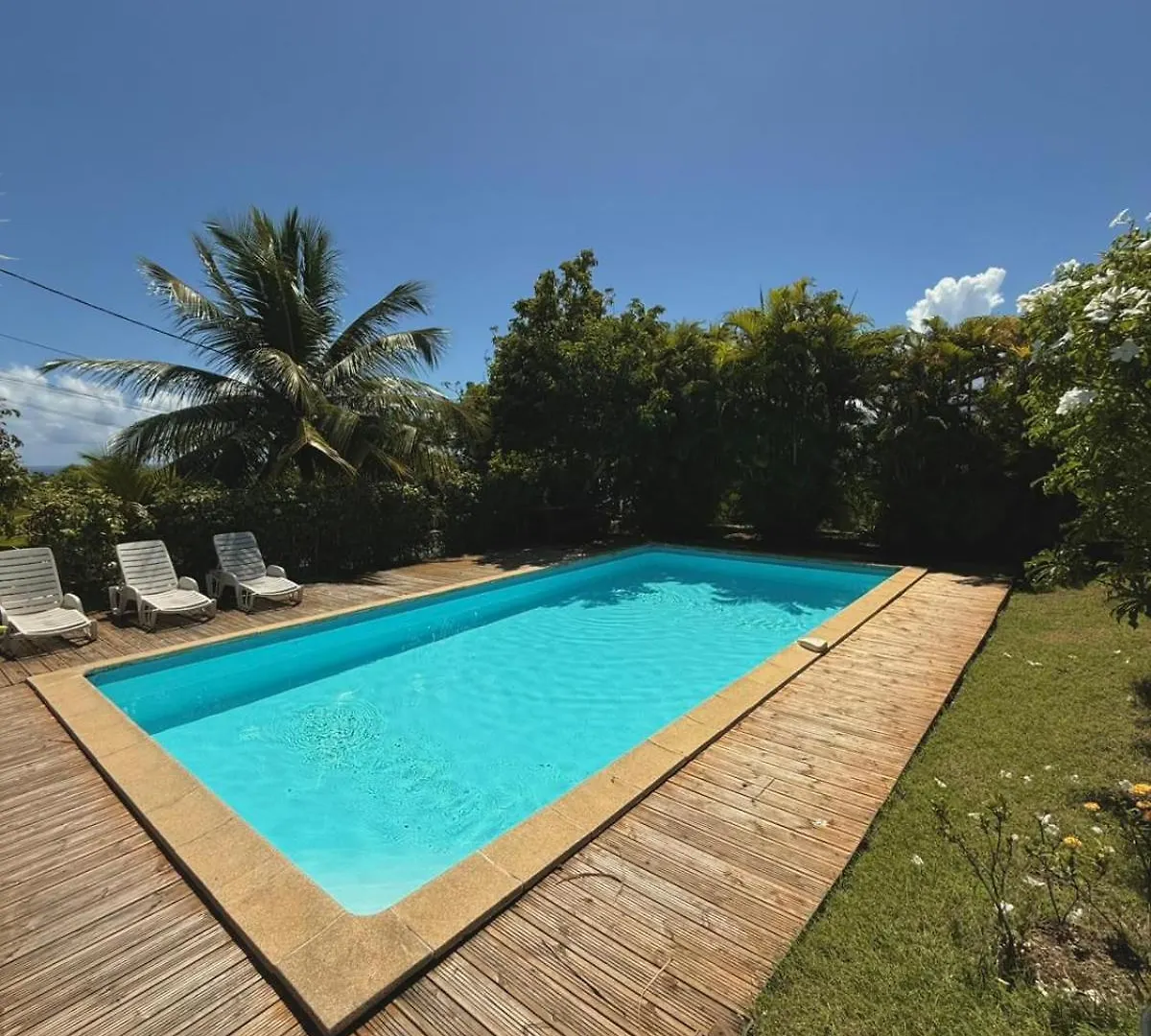 Colibri Dampierre Appartement Cosy Au Gosier Avec Piscine, Terrasse Et Vue Mer Le Gosier